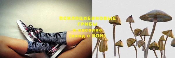 кокаин Алексеевка