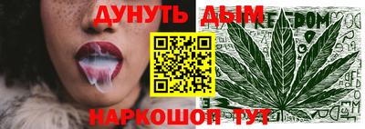 крисы Славянск-на-Кубани