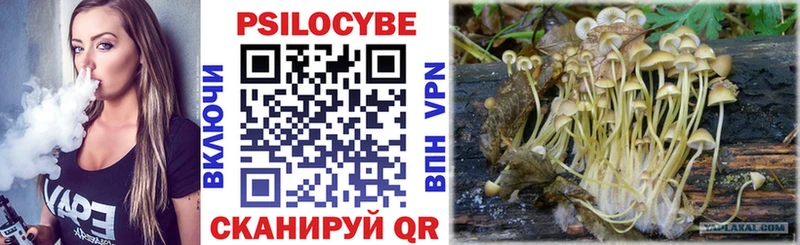 кракен маркетплейс  Подольск  Галлюциногенные грибы MAGIC MUSHROOMS 